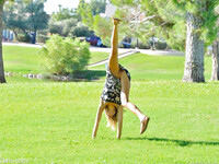 Averie elsker at onanere