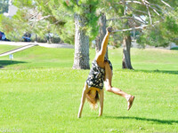 Averie elsker at onanere