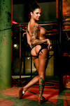 Bonnie Rotten den varme tatoverede milf