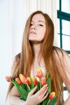 Anixa - MetArt